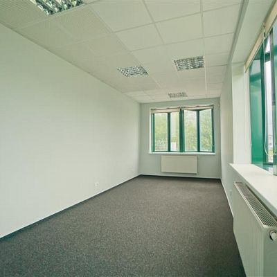 LOKAL UŻYTKOWY na WYNAJEM