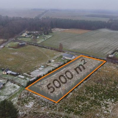 DZIAŁKA na SPRZEDAŻ