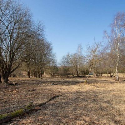 SPRZEDAŻ na DZIAŁKA w Sianów