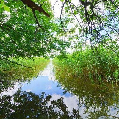 SPRZEDAŻ na DZIAŁKA w Czaplinek 