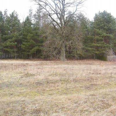 SPRZEDAŻ na DZIAŁKA w Krzywopłoty