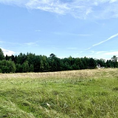 SPRZEDAŻ na DZIAŁKA w Stepień